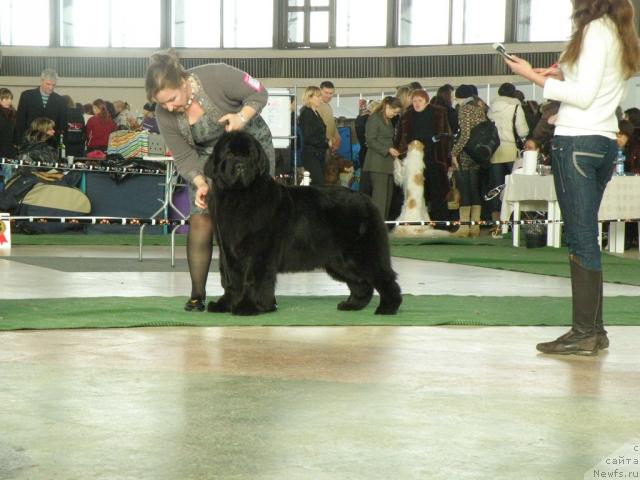 Фотография № 39111