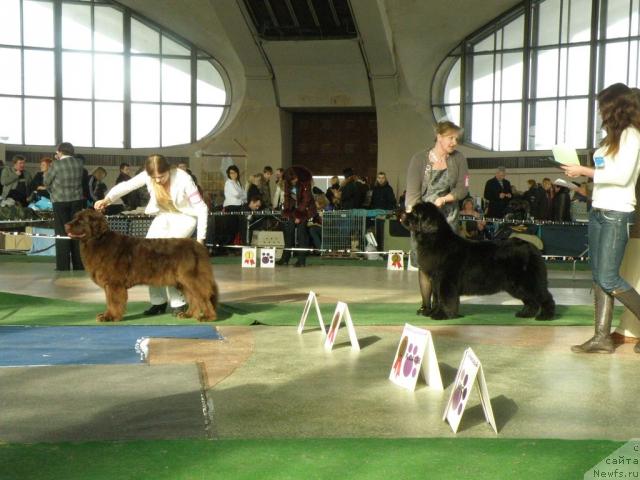 Фотография № 39114