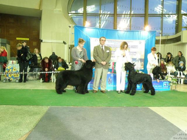 Фотография № 39115