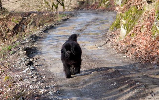 Фотография № 39163