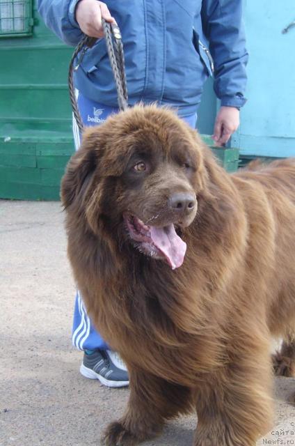 Фотография № 39196