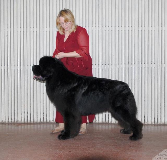 Фотография № 39212