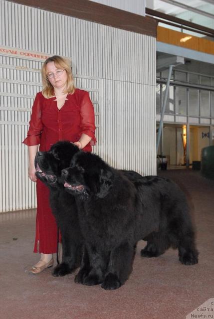 Фотография № 39215