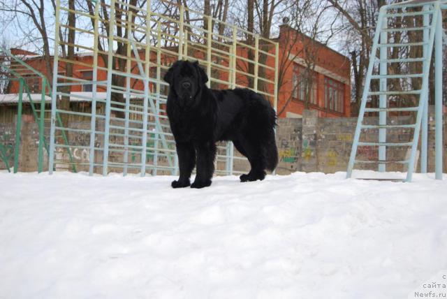 Фотография № 39240