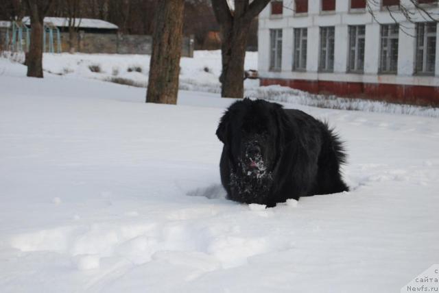 Фотография № 39241