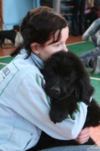 Фотография № 39244