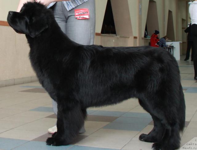 Фотография № 39256