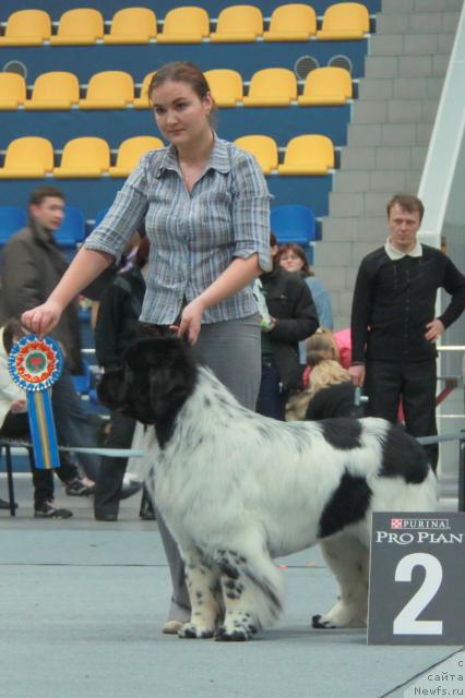 Фотография № 39257