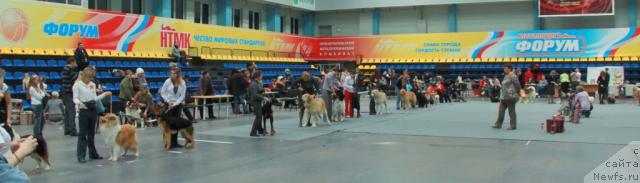 Фотография № 39261