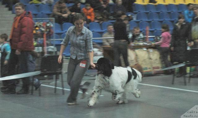 Фотография № 39273