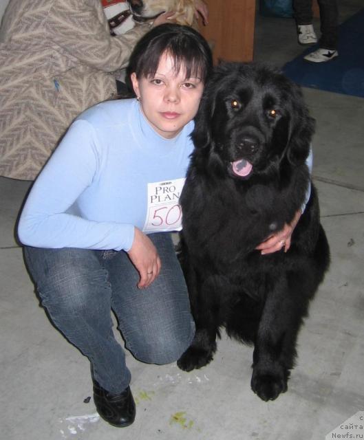 Фотография № 39274