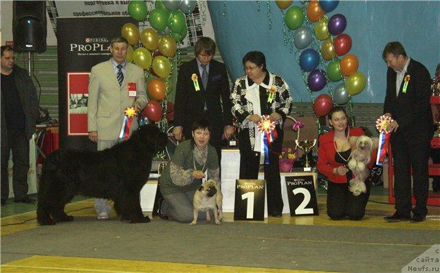 Фотография № 39275