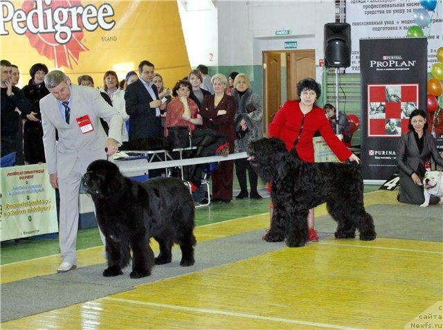 Фотография № 39276