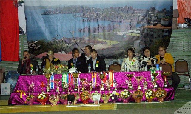 Фотография № 39278