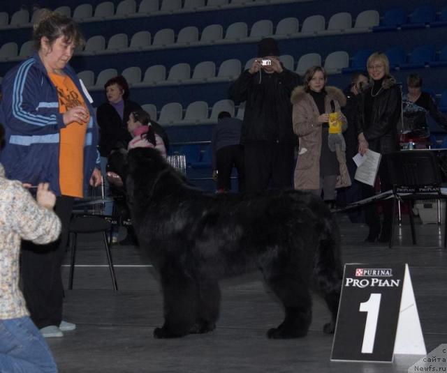 Фотография № 39288