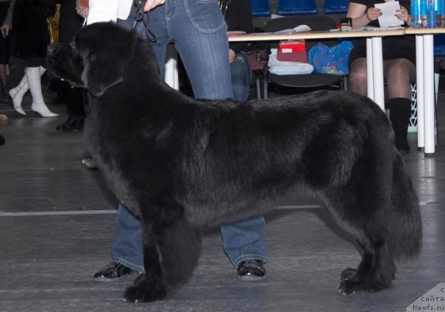 Фотография № 39289