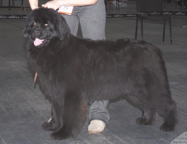 Фотография № 39292