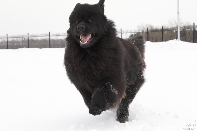 Фотография № 39295