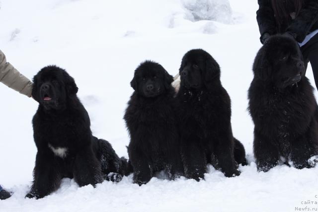 Фотография № 39296