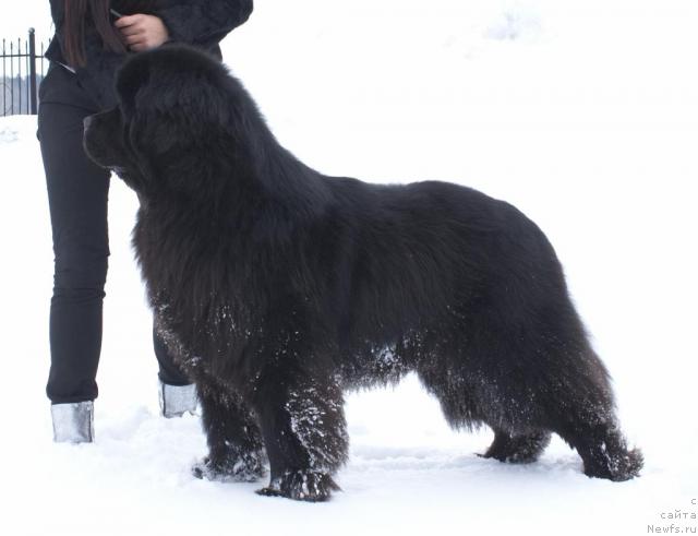 Фотография № 39297