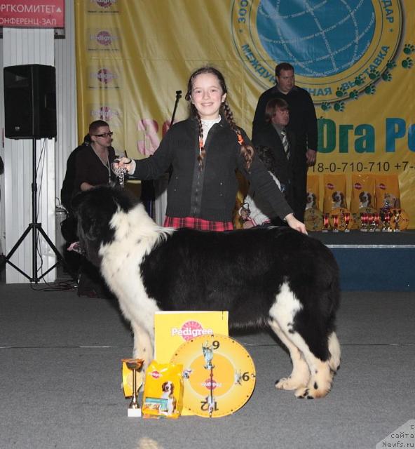 Фотография № 39328