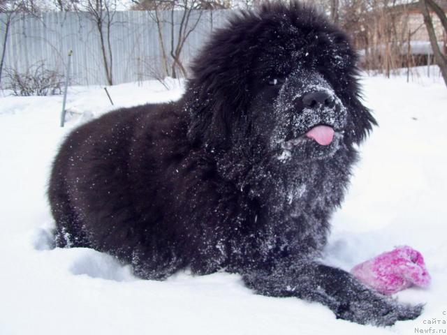 Фотография № 39343