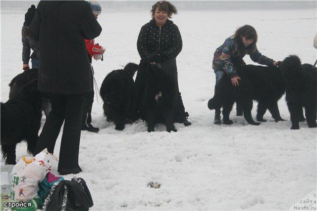 Фотография № 39349