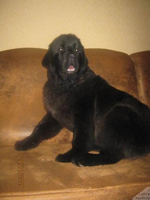 Фото: Я Крепкий орешек от Марлеон Дусвик