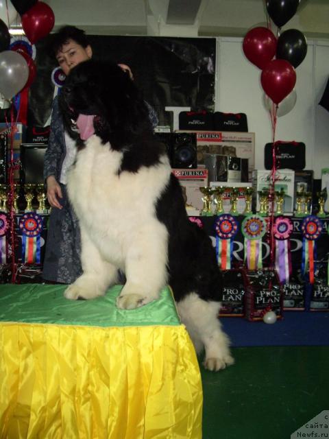 Фотография № 39420