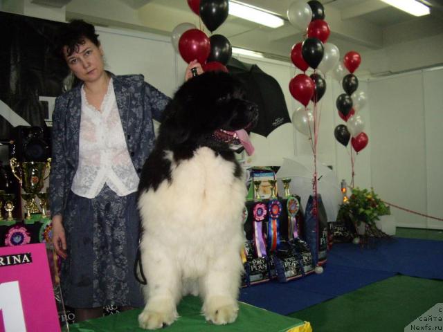 Фотография № 39421