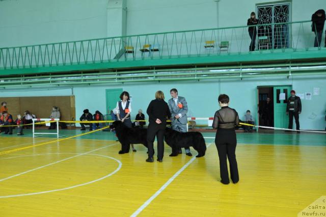 Фотография № 39427