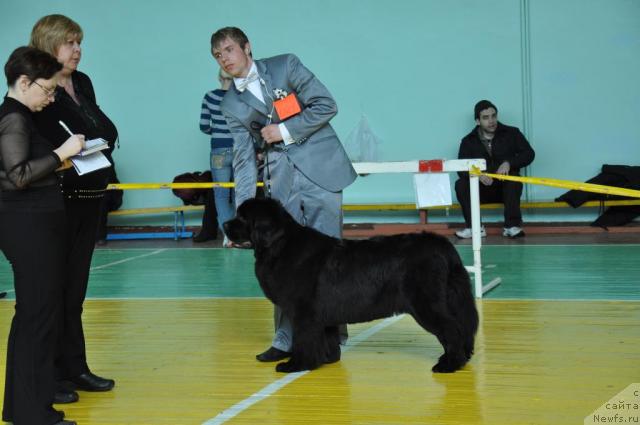 Фотография № 39428