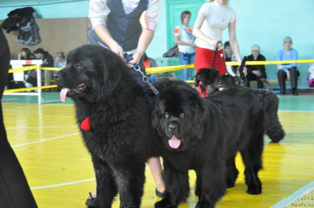 Фотография № 39429