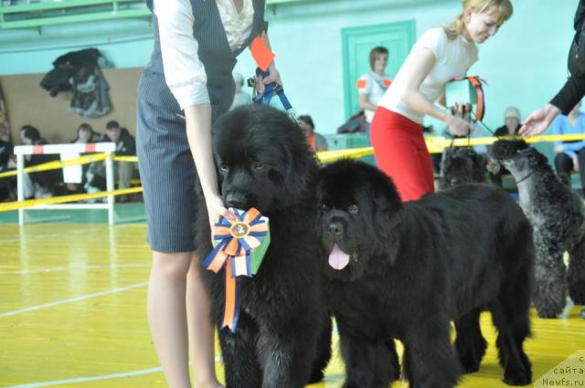 Фотография № 39430