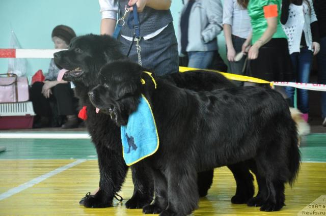 Фотография № 39431