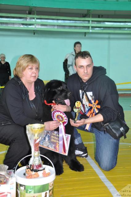 Фотография № 39432