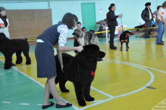 Фотография № 39433