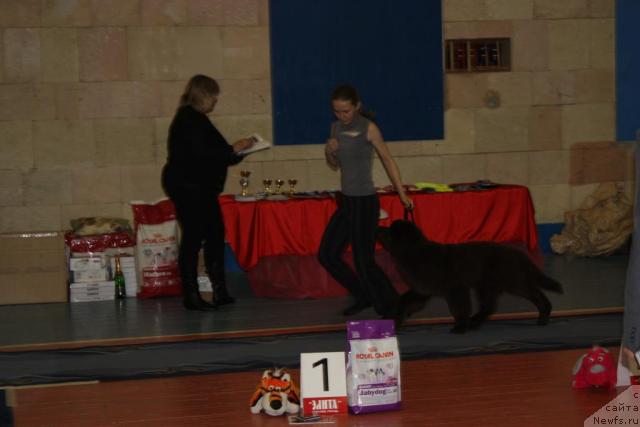 Фотография № 39434