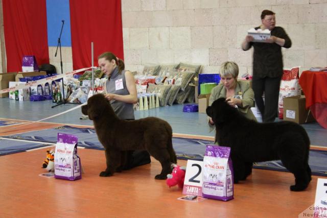 Фотография № 39435