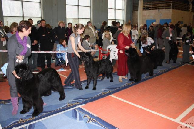 Фотография № 39436