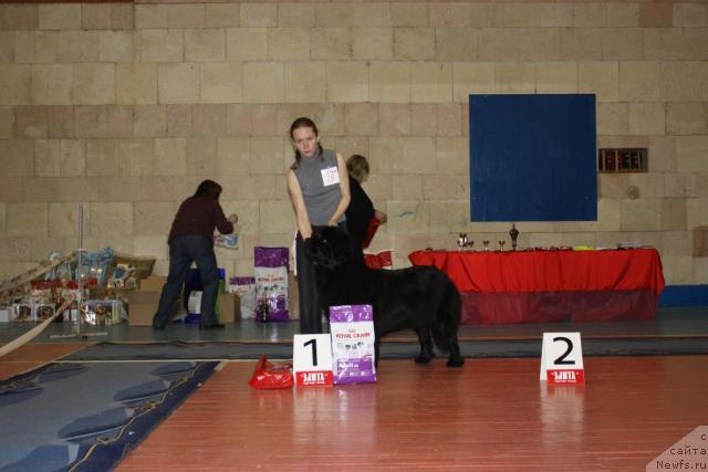 Фотография № 39437