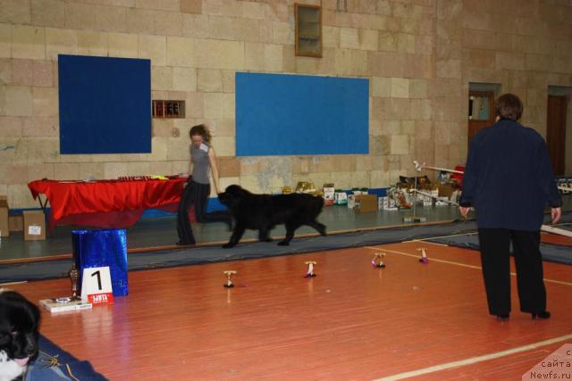 Фотография № 39439