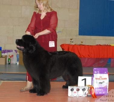 Фотография № 39445