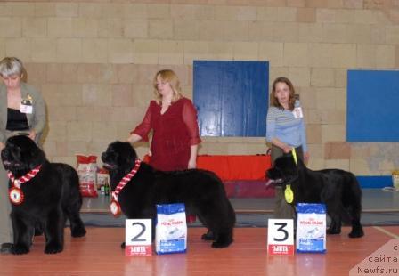 Фотография № 39451