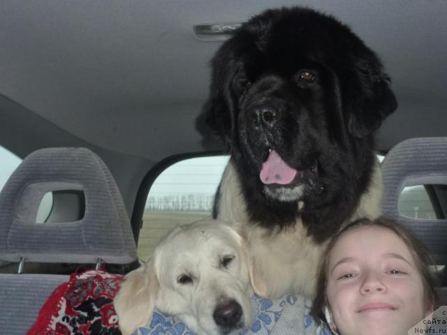 Фотография № 39454