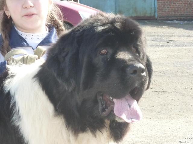 Фотография № 39456