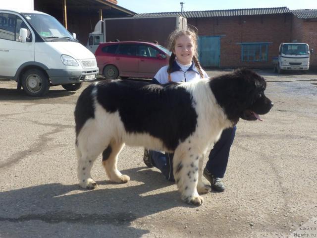 Фотография № 39458