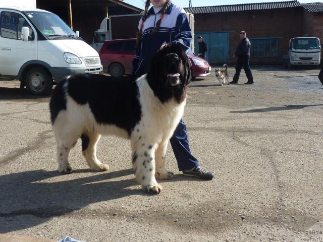 Фотография № 39459