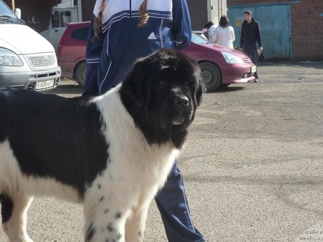 Фотография № 39461