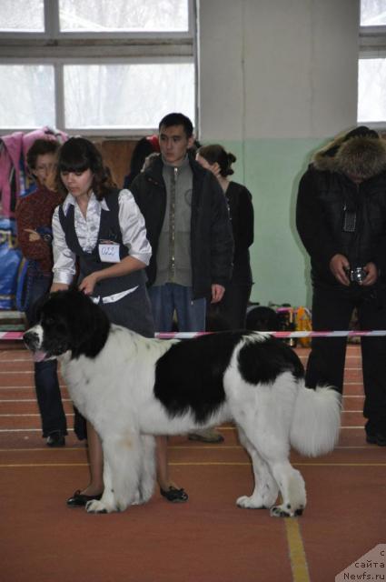 Фотография № 39472